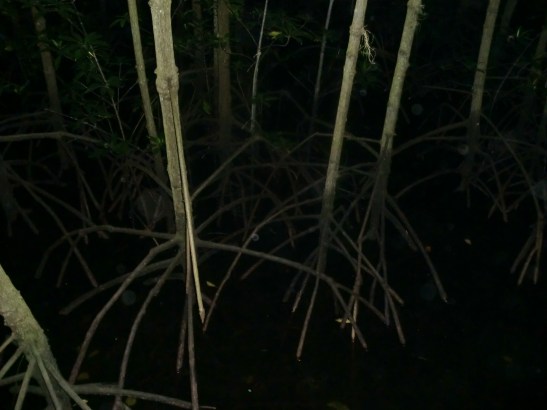 Where to Eat in Puerto Princesa