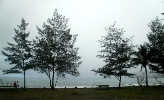 Where to Eat in Baler