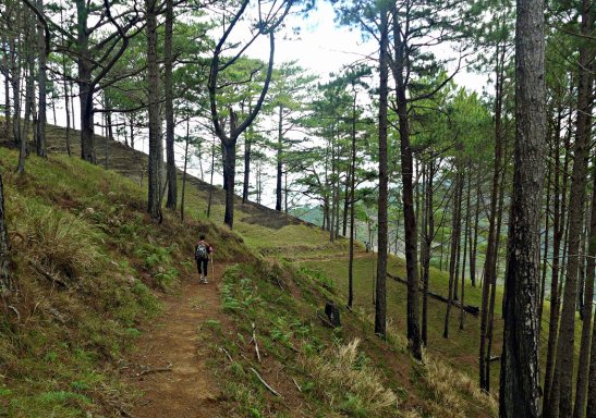 Weekly Photo Challenge Escape