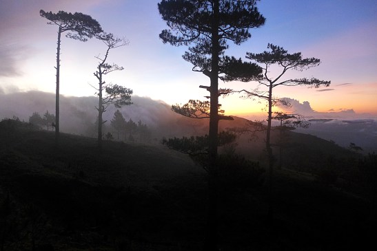 Mt. Ugo, Benguet, Philippines