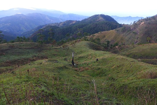 Mt. Ugo, Benguet, Philippines