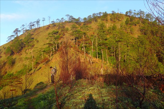 Mt. Ugo, Benguet, Philippines