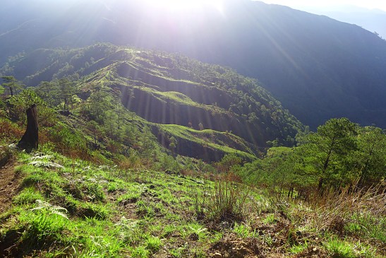 Mt. Ugo, Benguet, Philippines