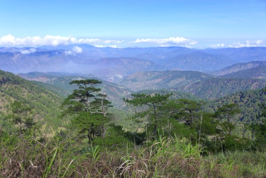 Mt. Ugo, Benguet, Philippines