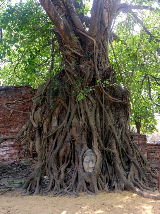 What to do in Ayutthaya