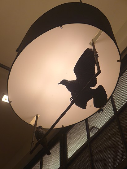 Other activities in Bangkok