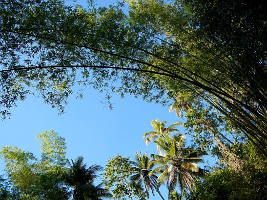 What to Do in Siquijor, Philippines