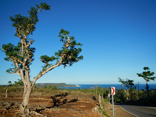 What to Do in Siquijor, Philippines