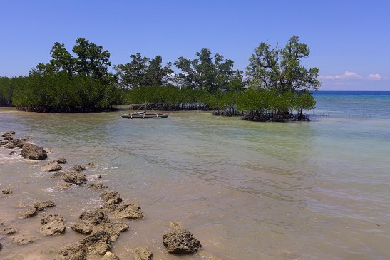 What to Do in Siquijor, Philippines