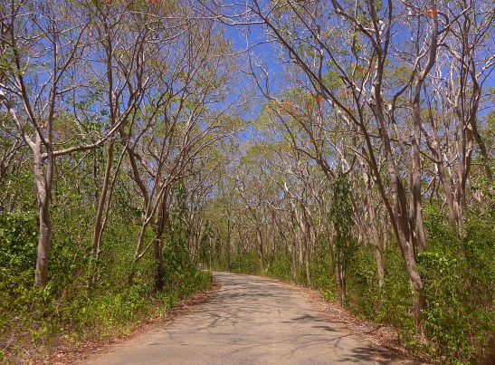 What to Do in Siquijor, Philippines