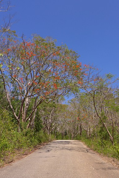 What to Do in Siquijor, Philippines