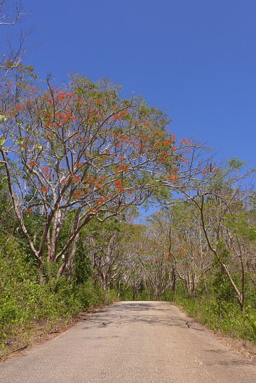 What to Do in Siquijor, Philippines