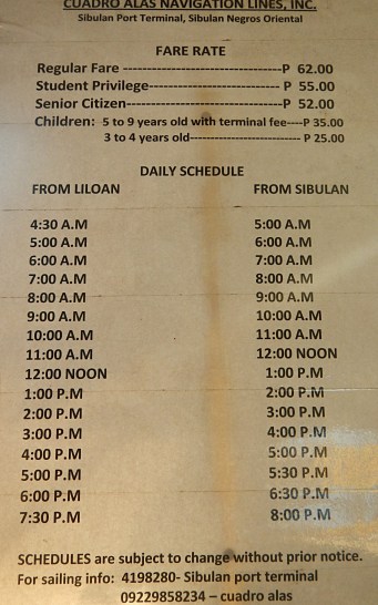 Swimming with the Whale Sharks in Oslob