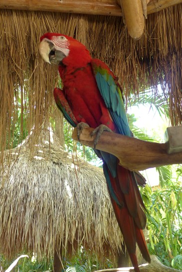 Siquijor, Philippines
