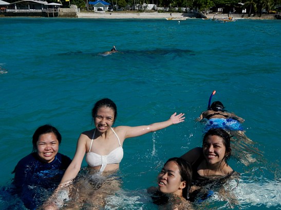 Swimming with the Whale Sharks in Oslob