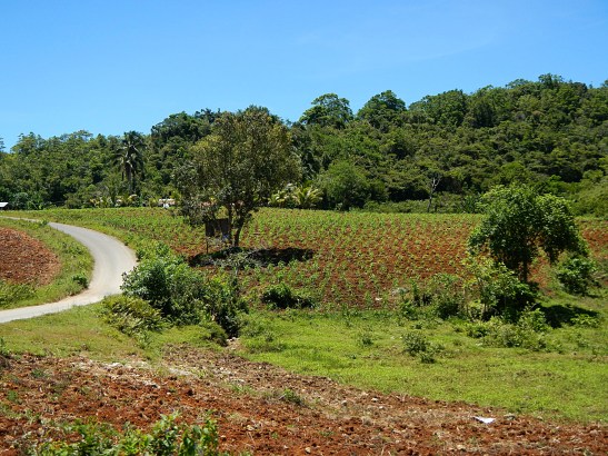 Oslob, Cebu, Philippines