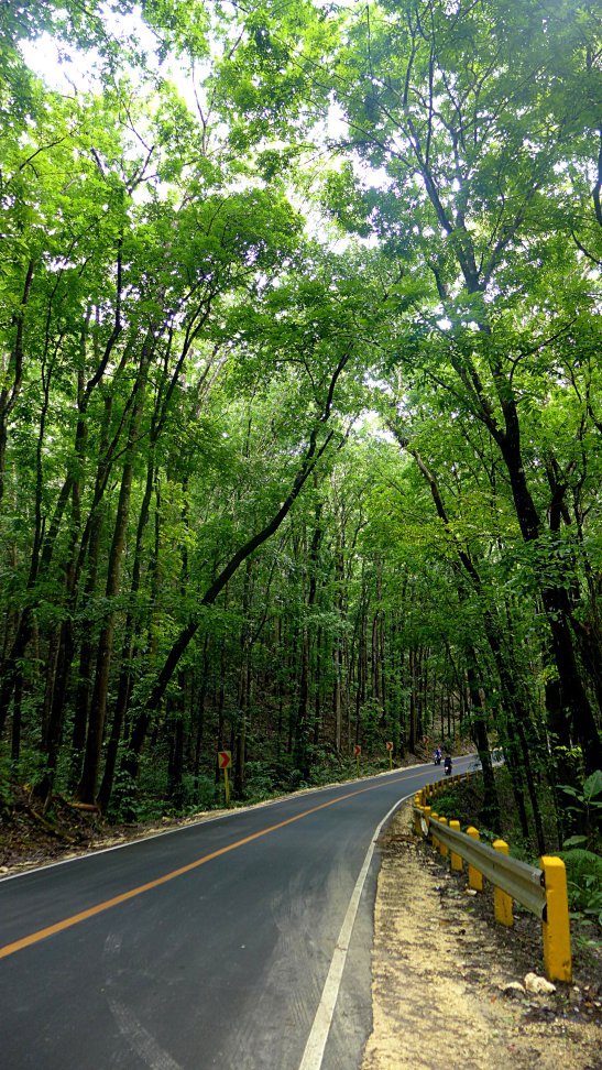 Bohol countryside tour