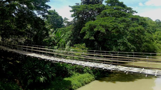 Bohol countryside tour