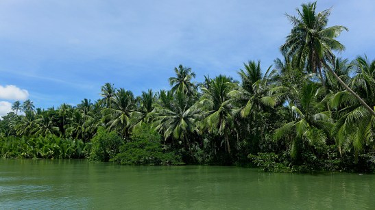 Loboc River, Bohol, Philippines