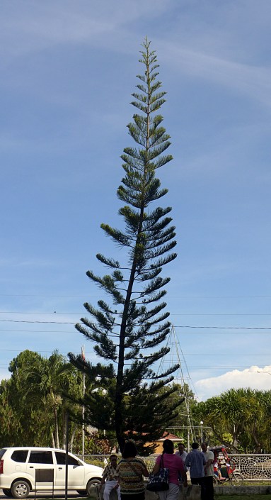 Bohol countryside tour