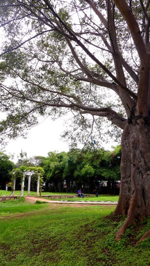 Lal Bagh Gardens, Bangalore