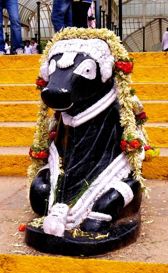 Lal Bagh Gardens, Bangalore