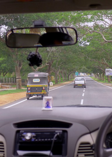 What to See in Mysore