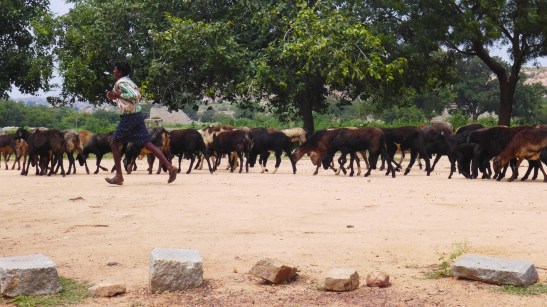 Hampi, Karnataka, India