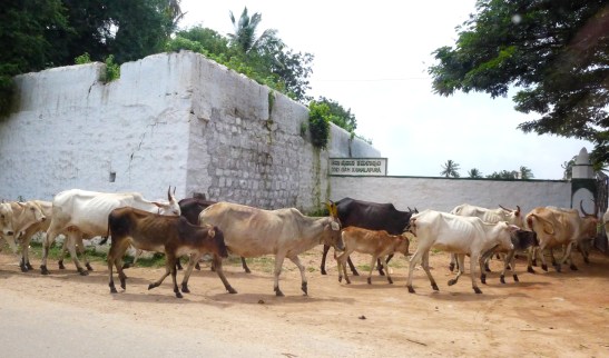 Hampi, Karnataka, India