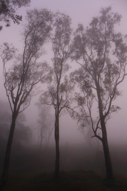 What to Do in Bangalore