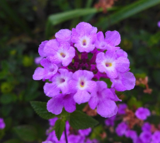 What to Do in Bangalore