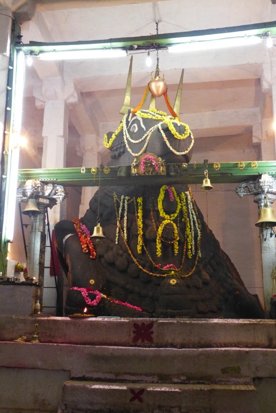 What to Do in Bangalore