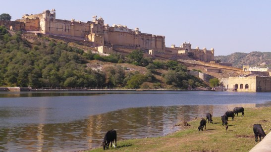 Amber Fort, Jaipur