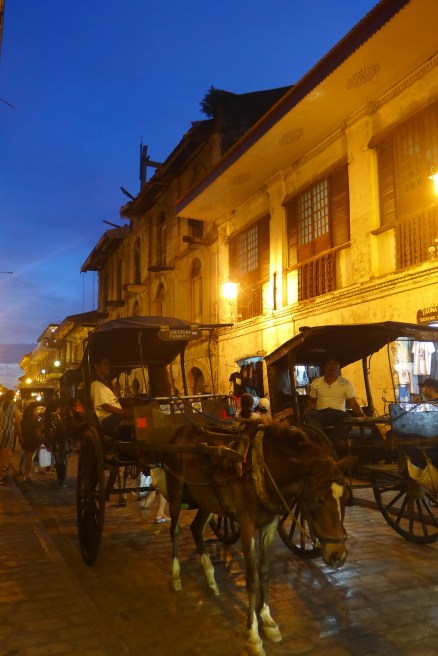 D.I.Y. Vigan