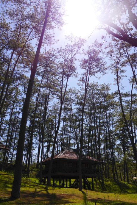 What to See in Malaybalay