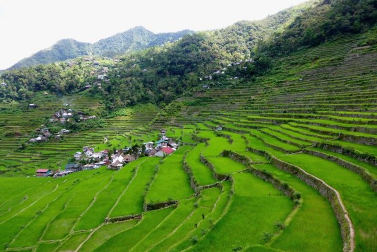 D.I.Y. Banaue-Batad
