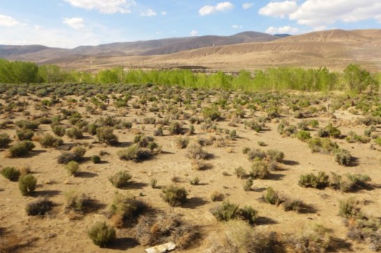 California Zephyr: The Best Train Journey in the US