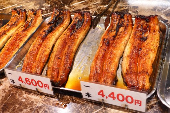 Kanazawa Japan travel; What to do in Kanazawa Japan; What to see in Kanazawa Japan; D.I.Y. Japan itinerary