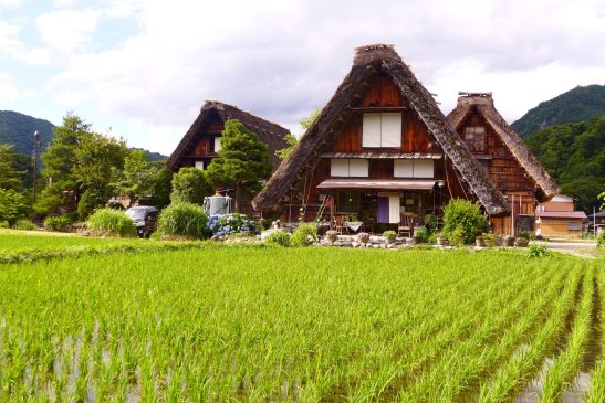 Shirakawa-go; Shirakawa-go Japan travel; What to do in Shirakawa-go Japan; What to see in Shirakawa-go Japan; D.I.Y. Japan itinerary