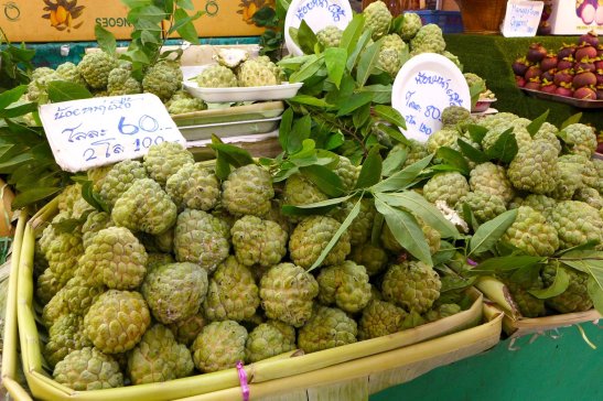 Bangkok travel; What to do in Bangkok; What to see in Bangkok; D.I.Y. Bangkok itinerary