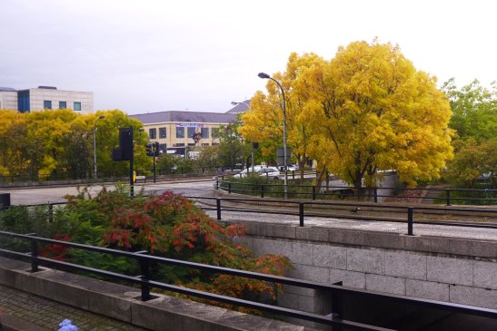 Oxford travel; What to do in Oxford; What to see in Oxford; D.I.Y. Oxford itinerary