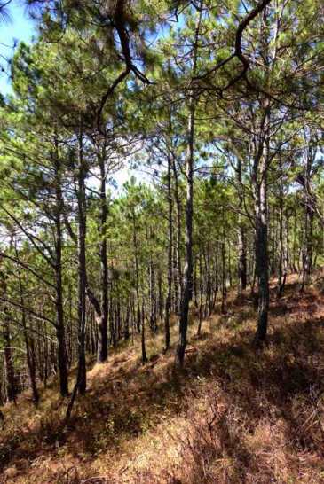 Day climb to Mt. Ulap; Baguio side trip; Baguio itinerary