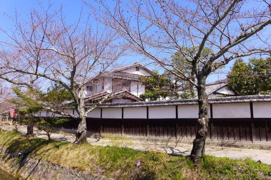 Path of Philosophy; Kyoto; Tetsugaku no michi