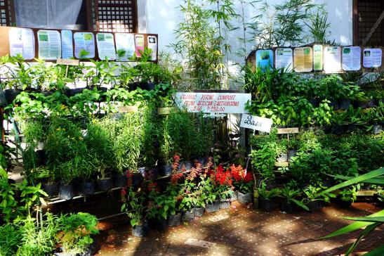 Tagaytay Itinerary; Tagaytay Day Trip