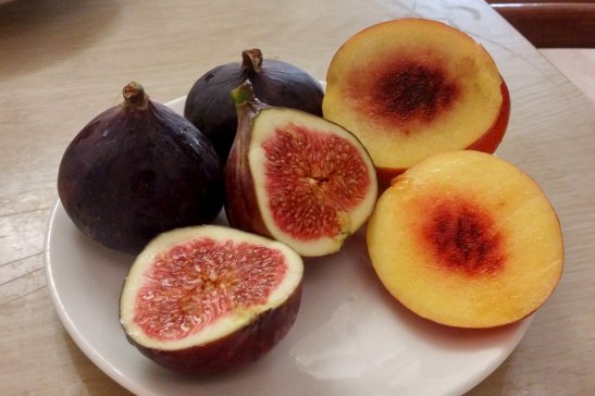 What to see in Cambridge; Things to do in Cambridge; Visiting Cambridge