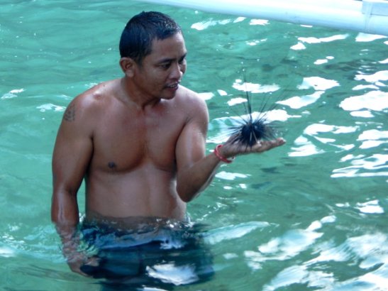 El Nido Tour A; El Nido itinerary; El Nido Beaches; El Nido boat tours; El Nido island hopping