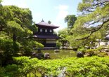 Kyoto Japan travel; What to do in Kyoto Japan; What to see in Kyoto Japan; D.I.Y. Japan itinerary