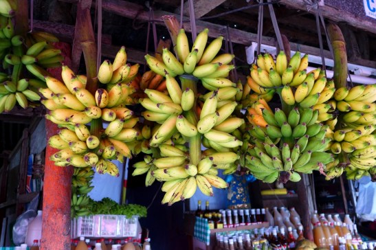 Tagaytay Itinerary; Tagaytay Day Trip