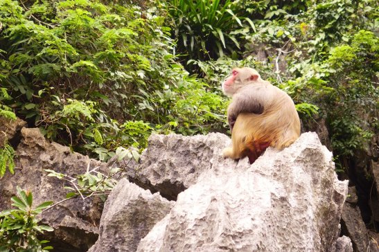 Hanoi travel; What to do in Hanoi; What to see in Hanoi; D.I.Y. Hanoi itinerary