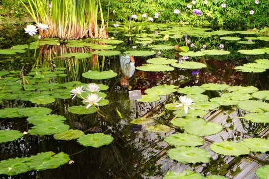 London travel; What to do in London; What to see in London; D.I.Y. London itinerary